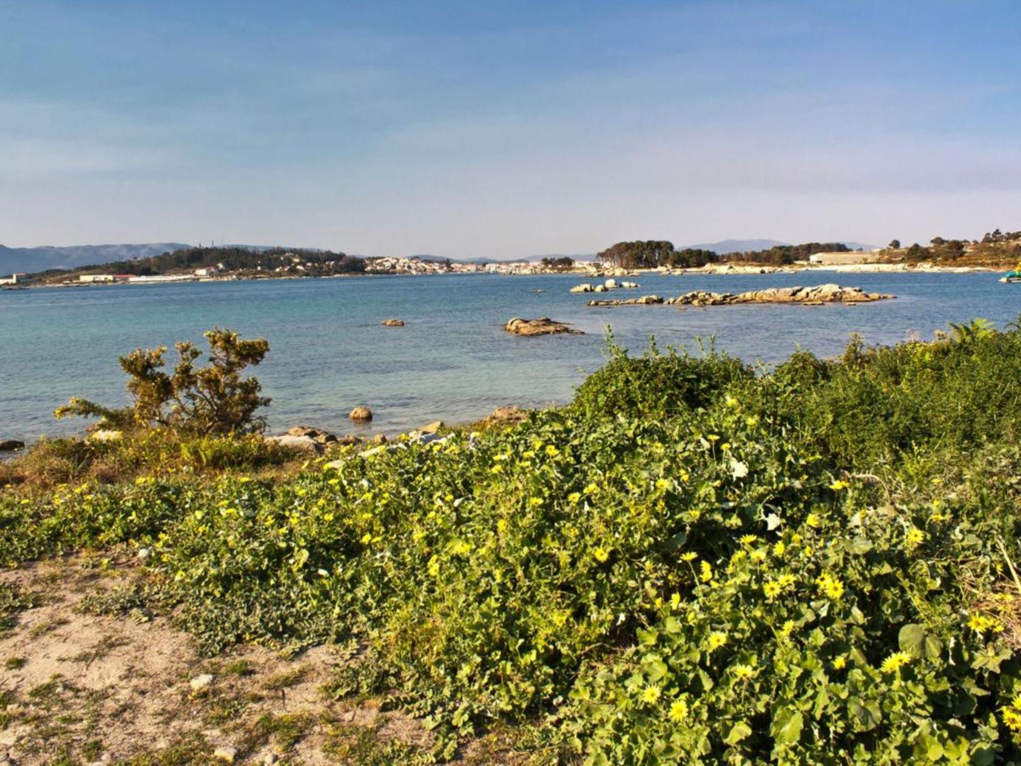Complejo Tamanaco Illa De Arousa 3000 Ngoại thất bức ảnh